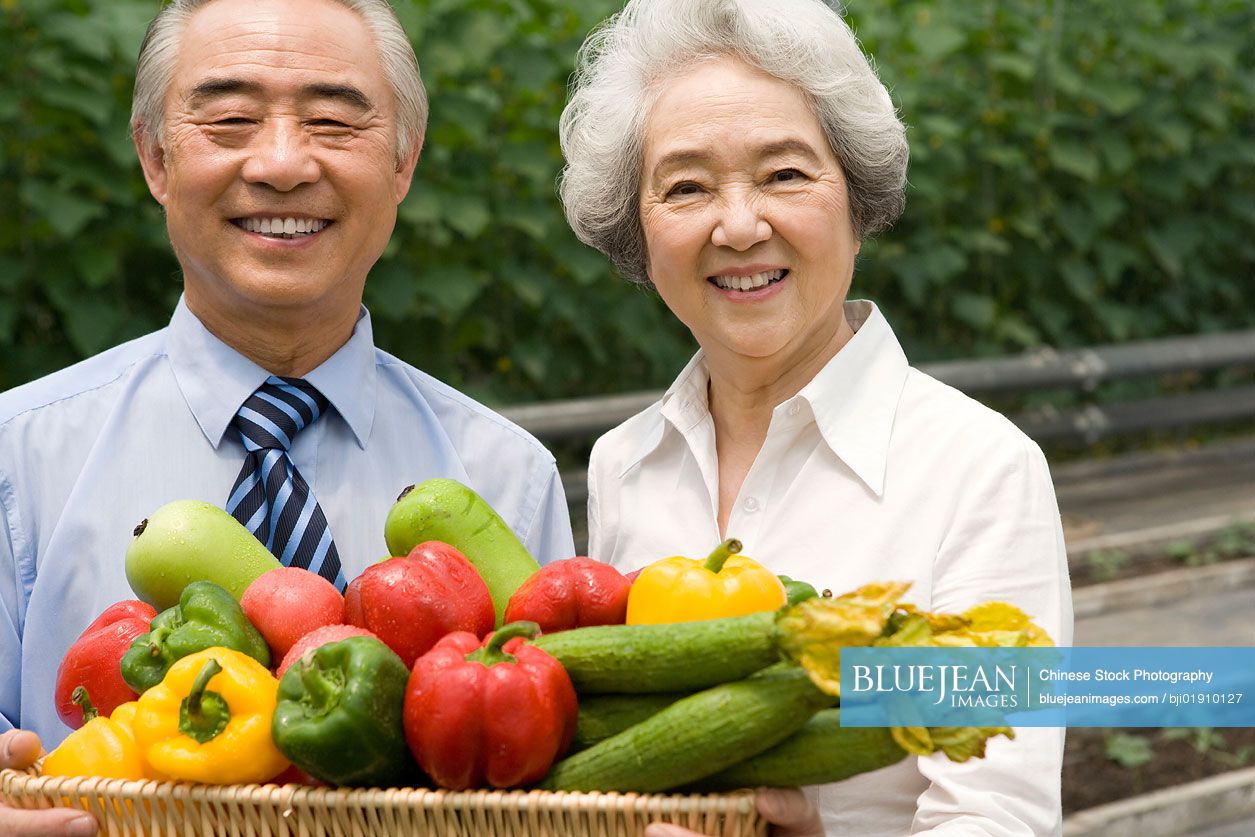 Chinese farmer holding vegetables in modern farm