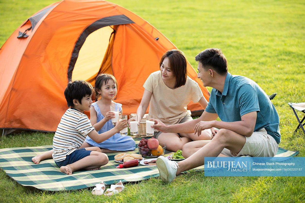 Happy young Chinese family having a picnic outdoors