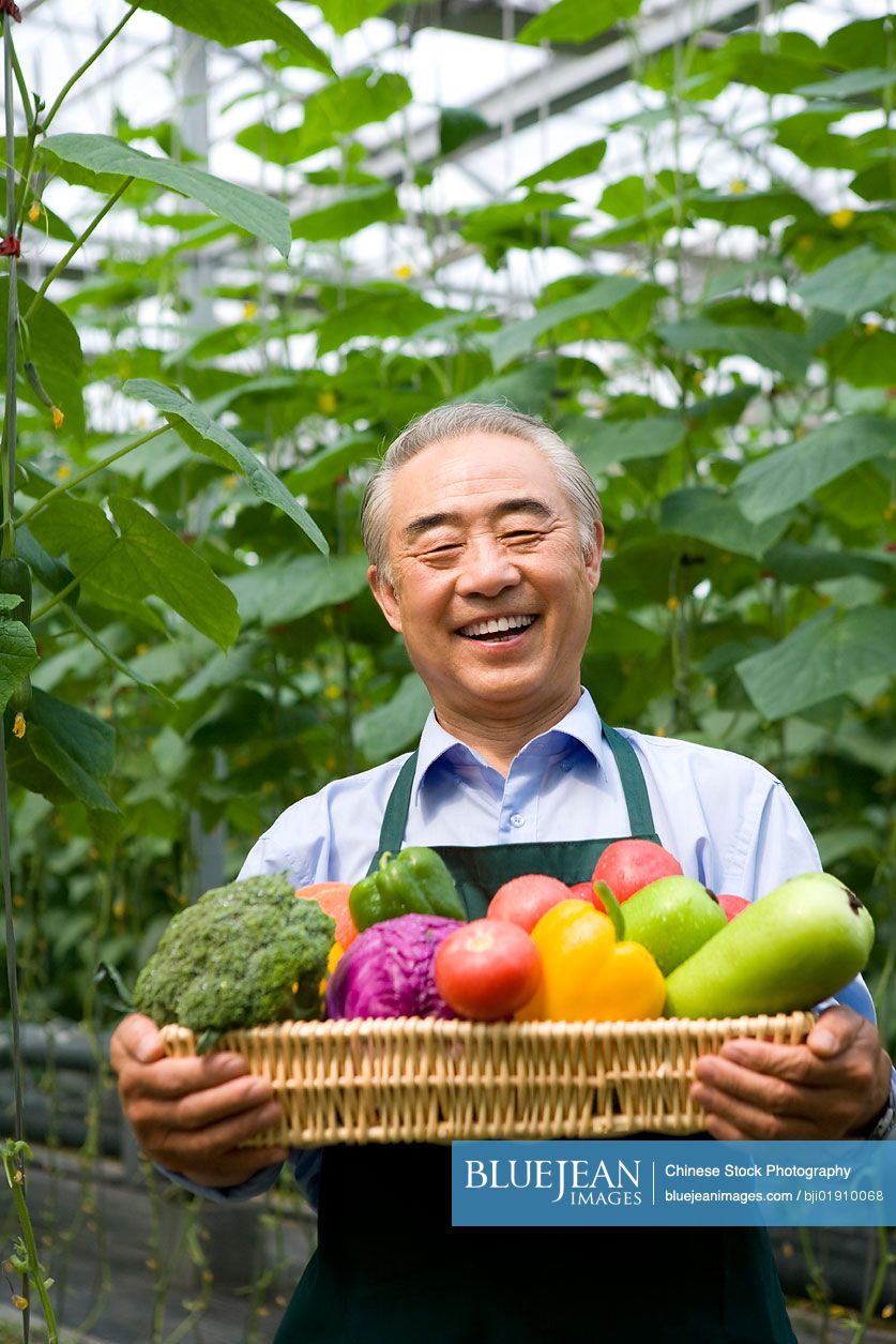 Chinese farmer holding vegetables in modern farm