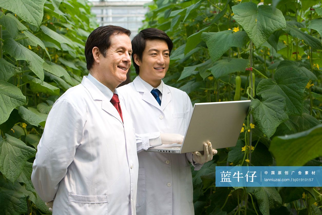 农艺师在现代农庄做科学研究