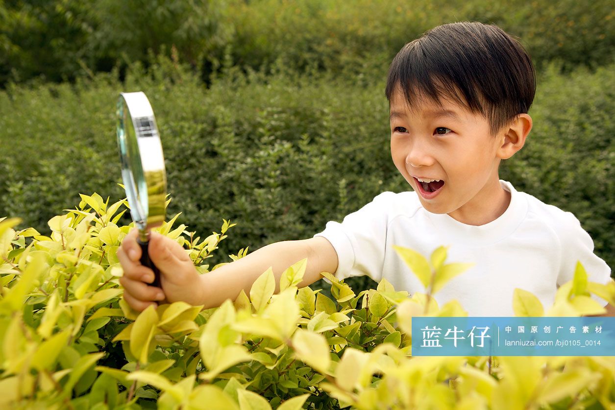 小男孩拿放大镜观察植物
