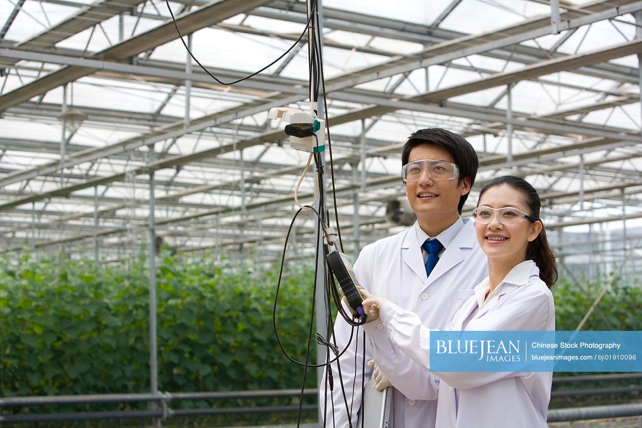 Chinese scientists doing research in modern farm