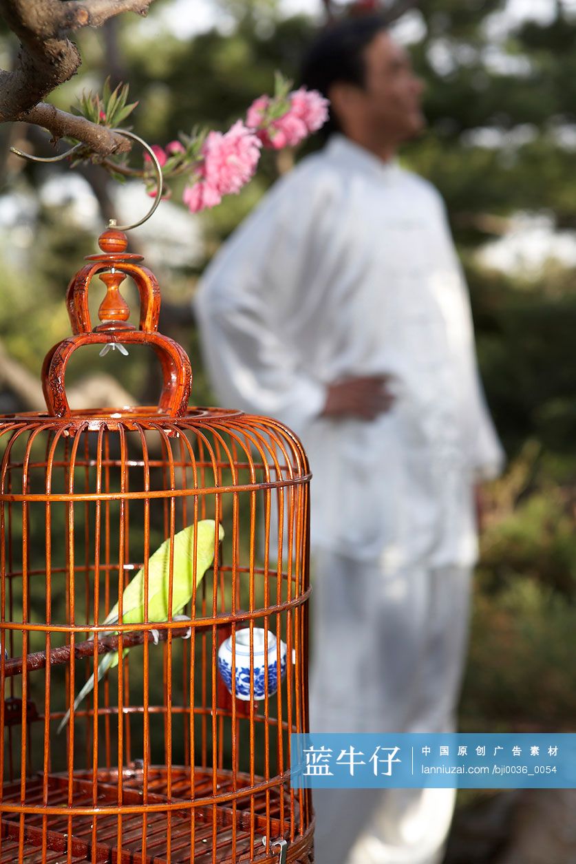 老年男子在公园遛鸟