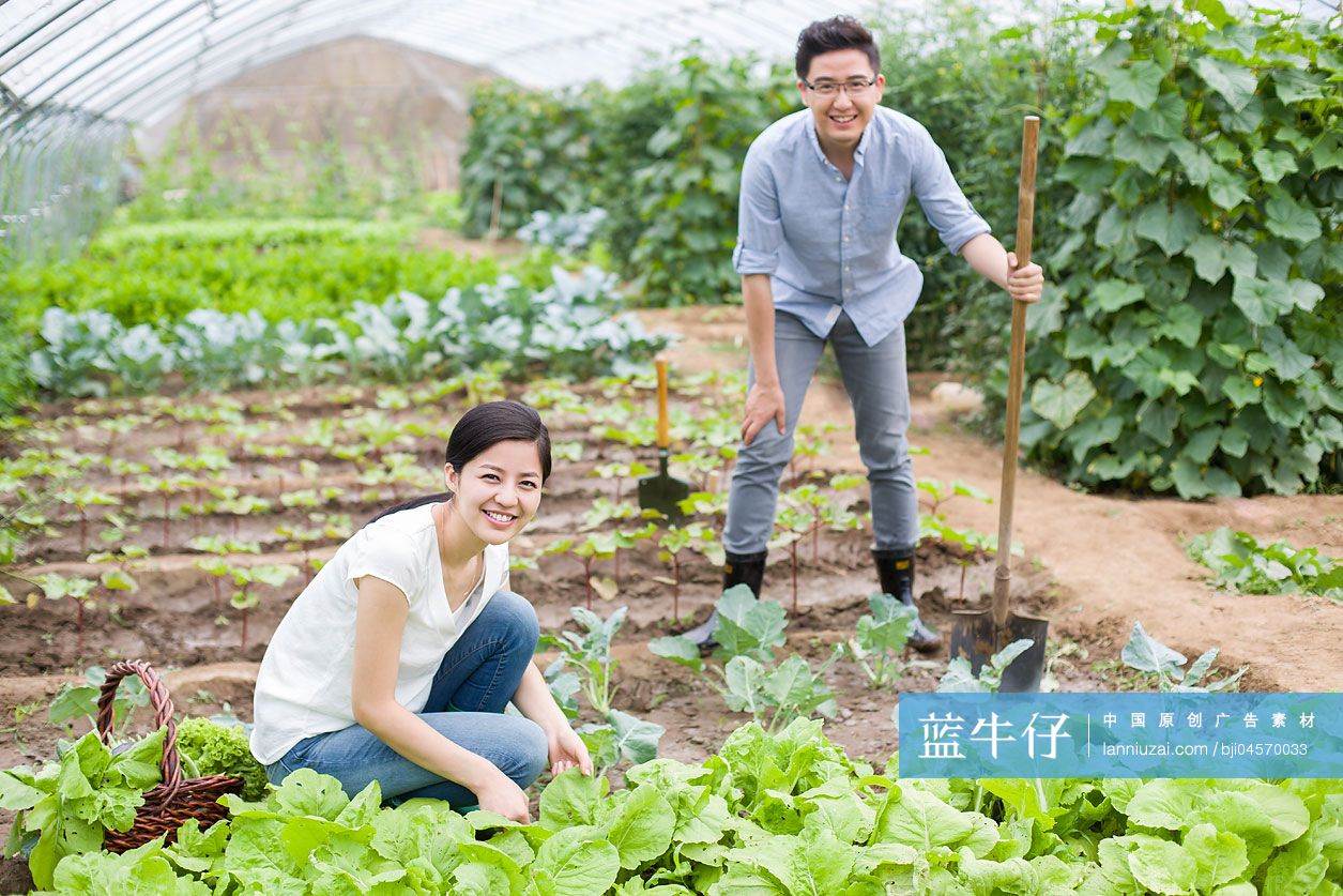 年轻夫妻在菜园劳动