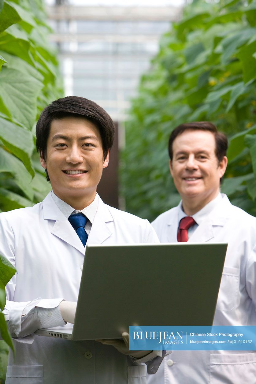 Scientists doing research in modern farm