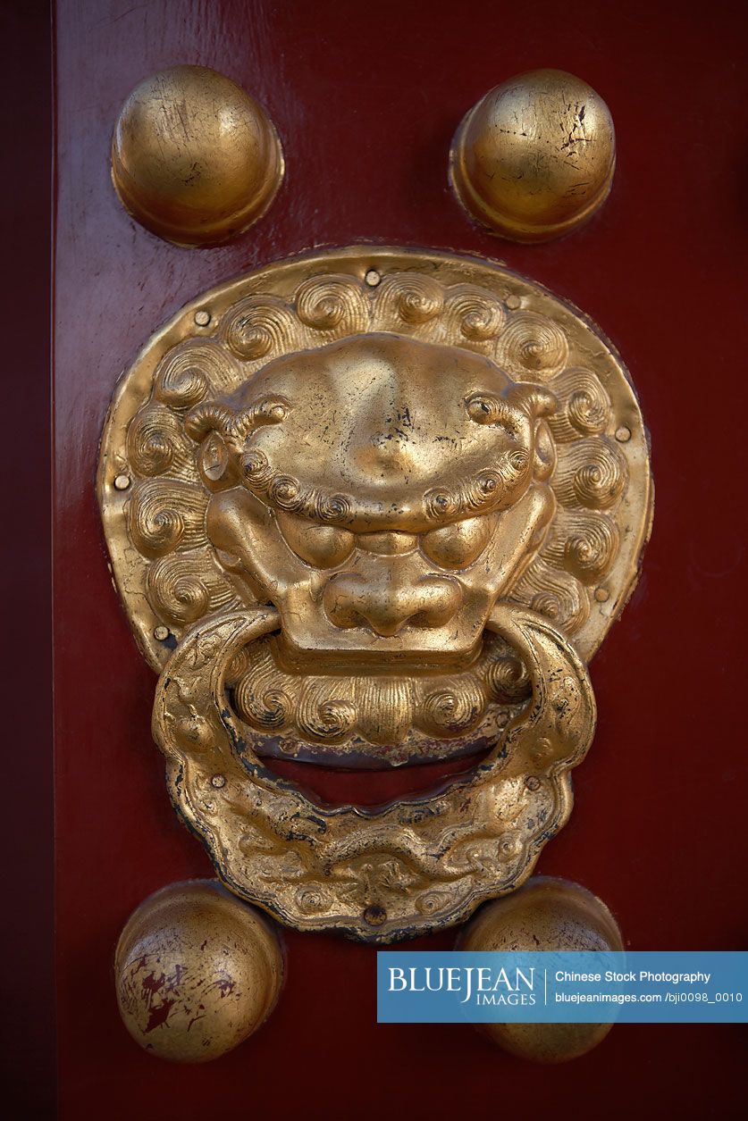 Detail of an ornate door knocker