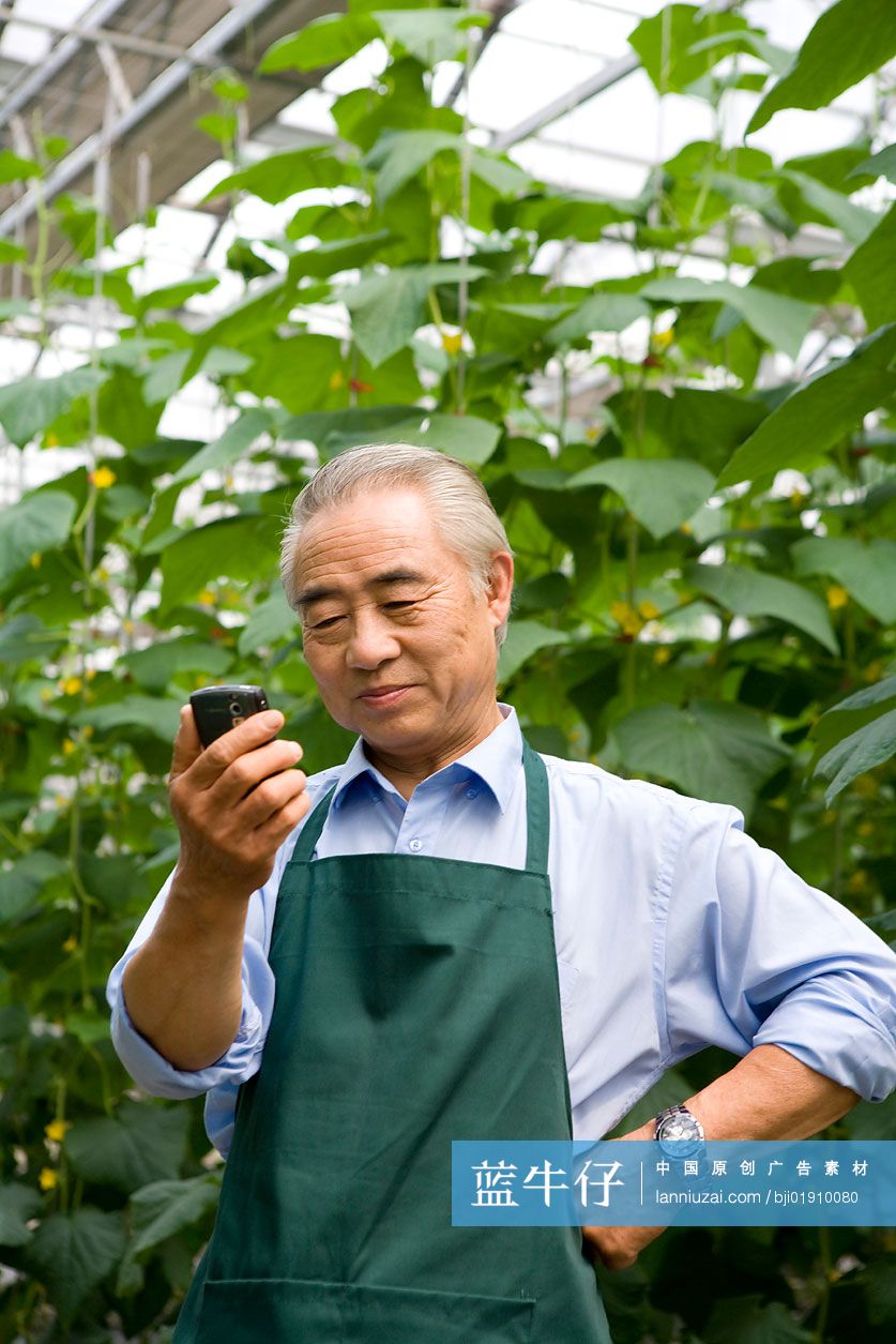 农场主打电话