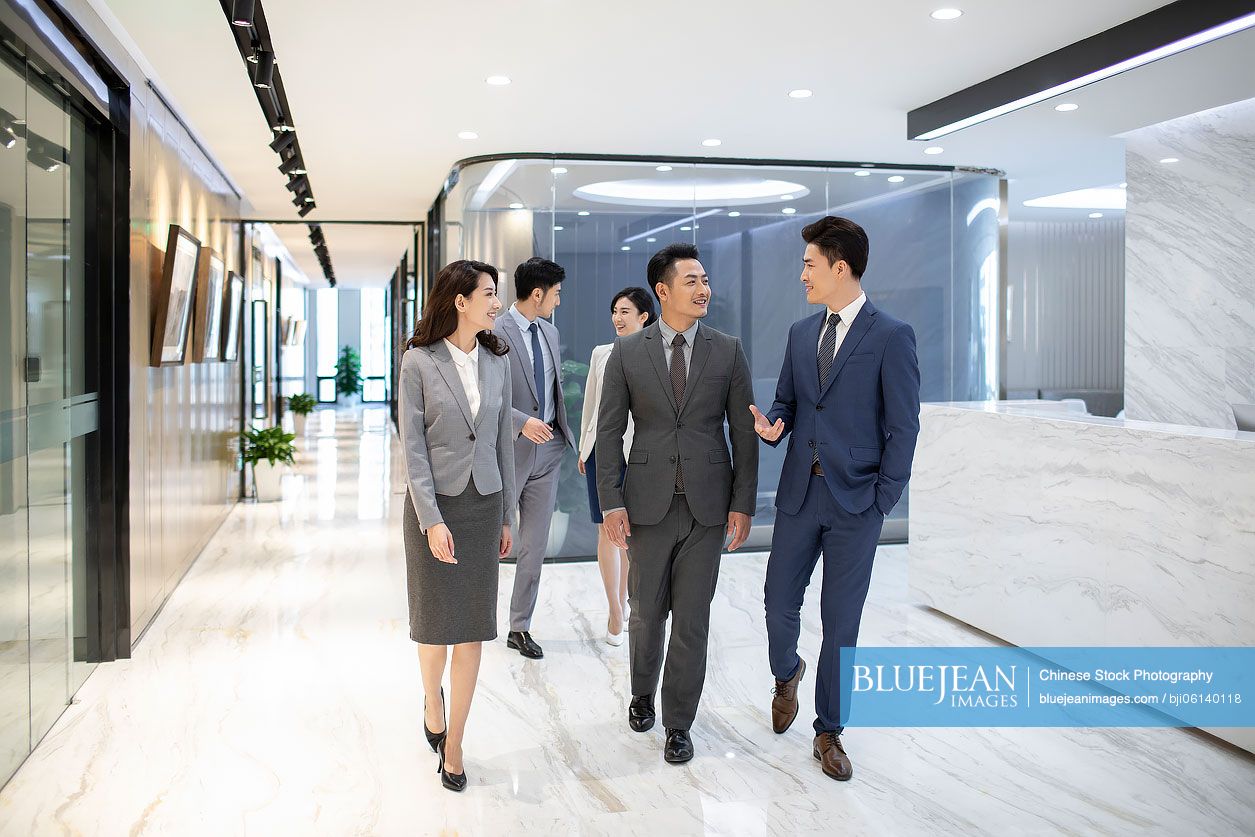 Successful Chinese business people talking in office