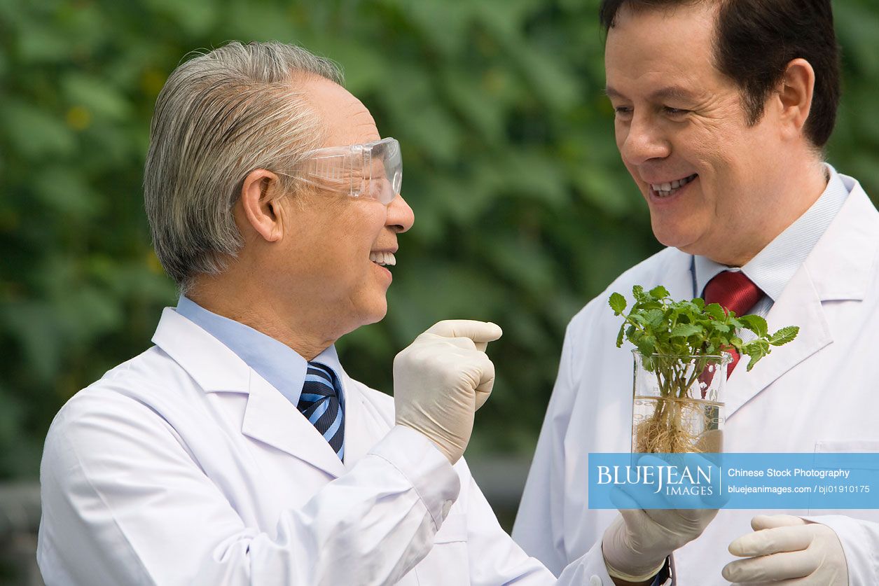 Scientists doing research in modern farm