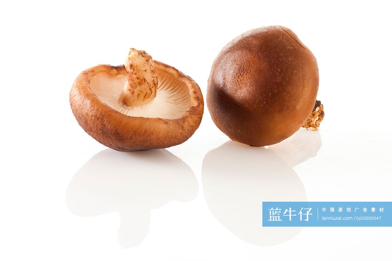 香菇