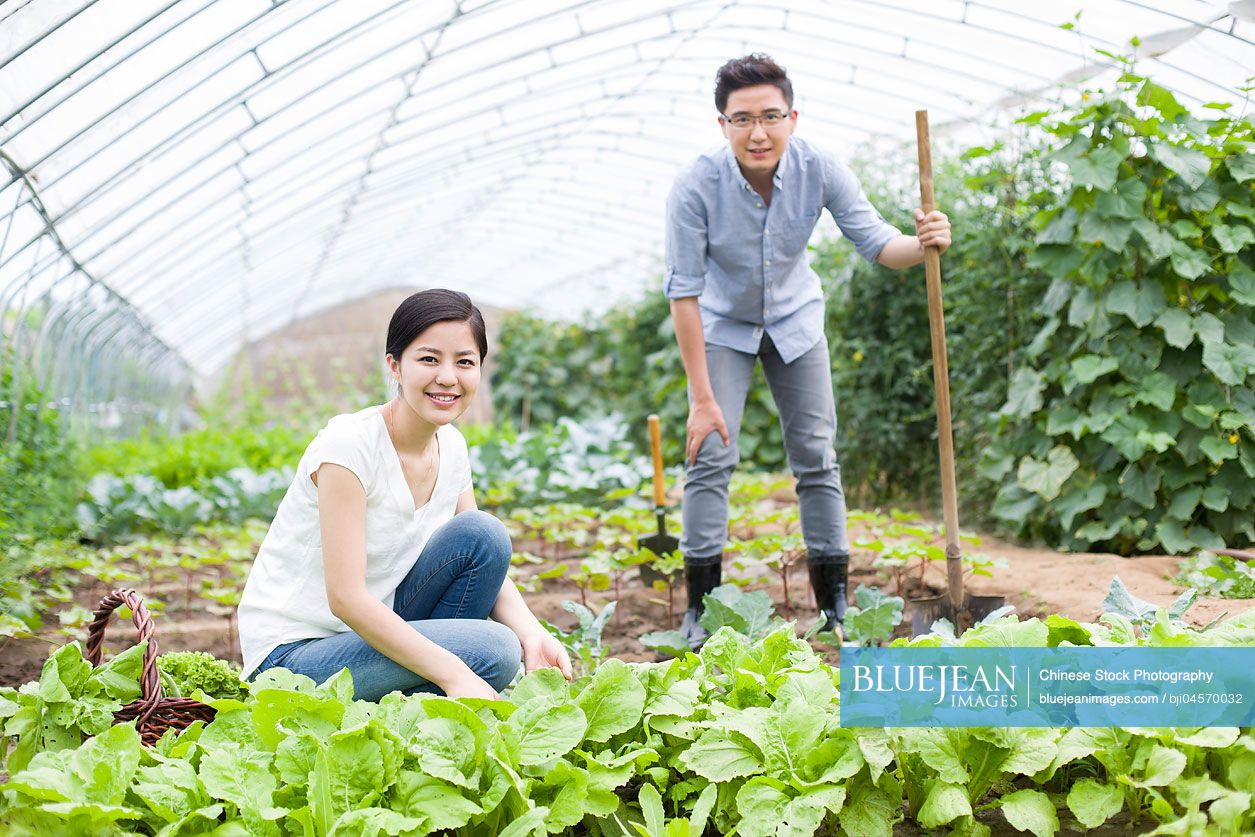 Young Chinese couple gardening together