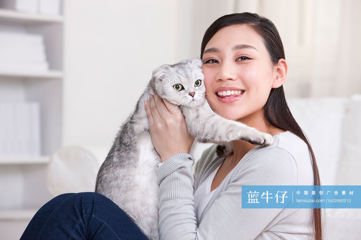 青年女子和苏格兰折耳猫