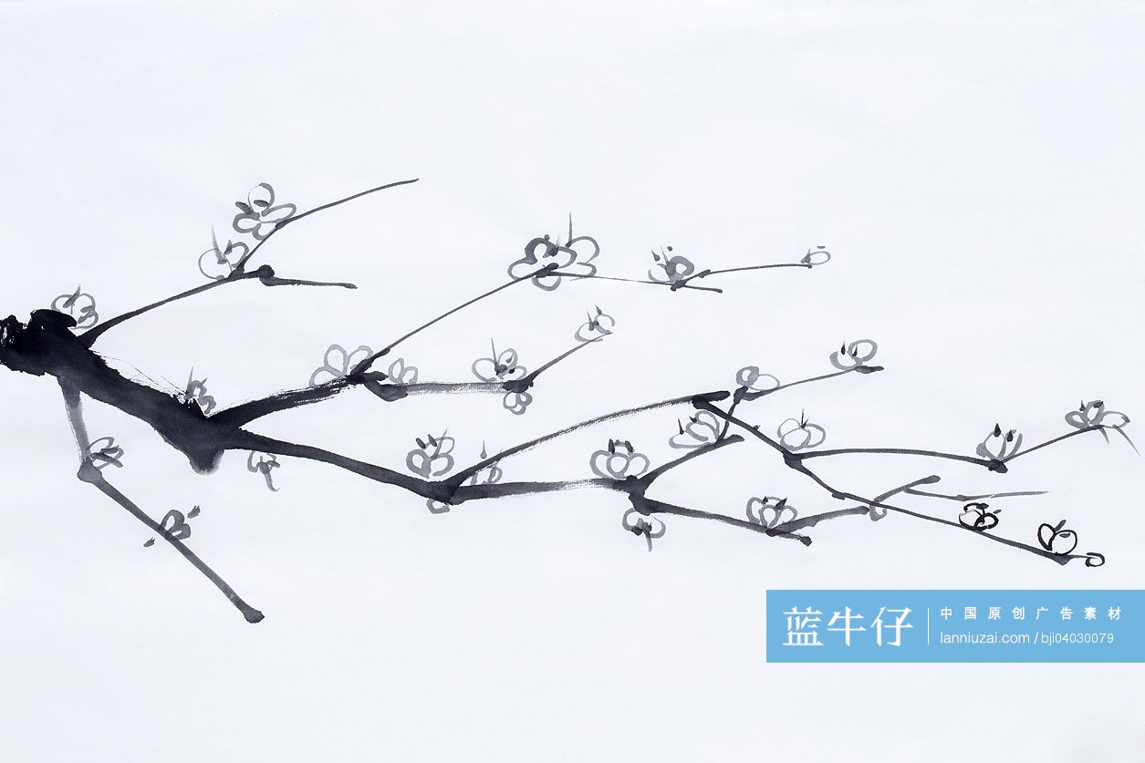 中国画梅花图