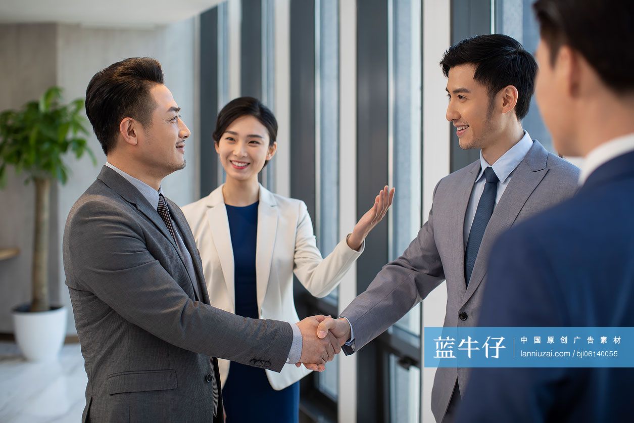 成功商务人士会面