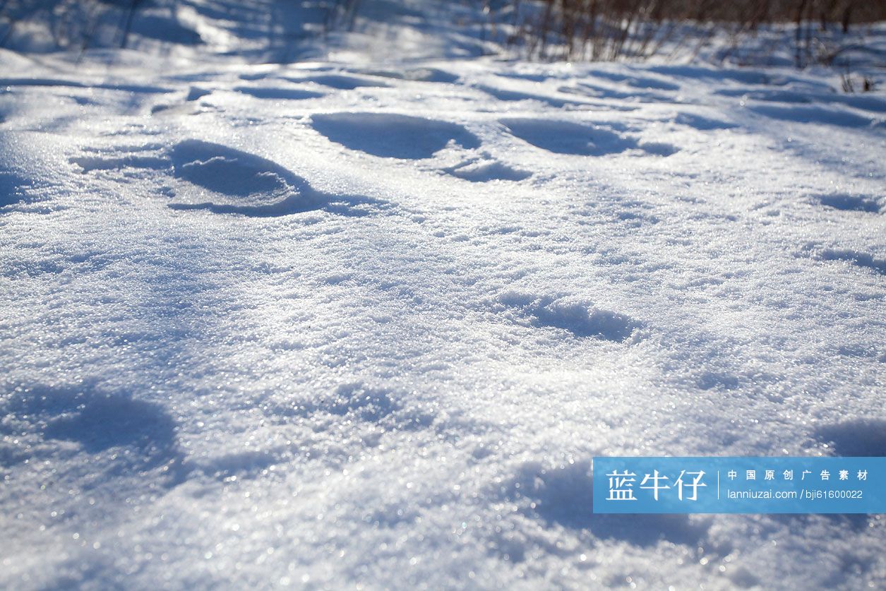 雪地上的脚印