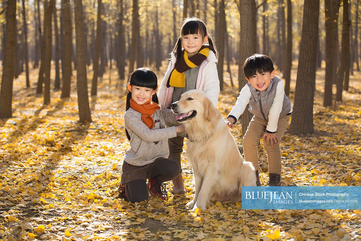 Three Chinese children playing with dog in autumn woods