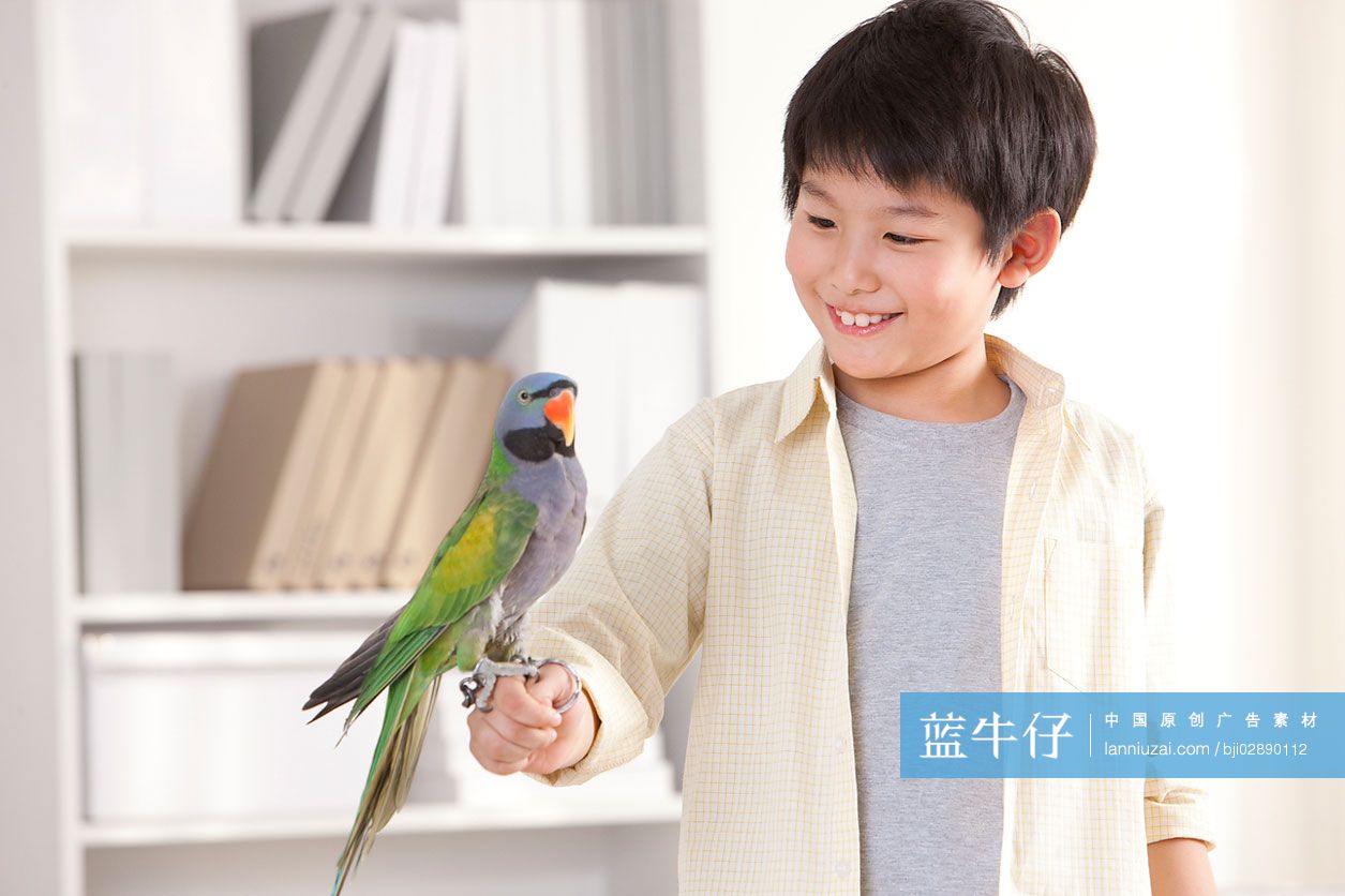 小男孩和鹦鹉