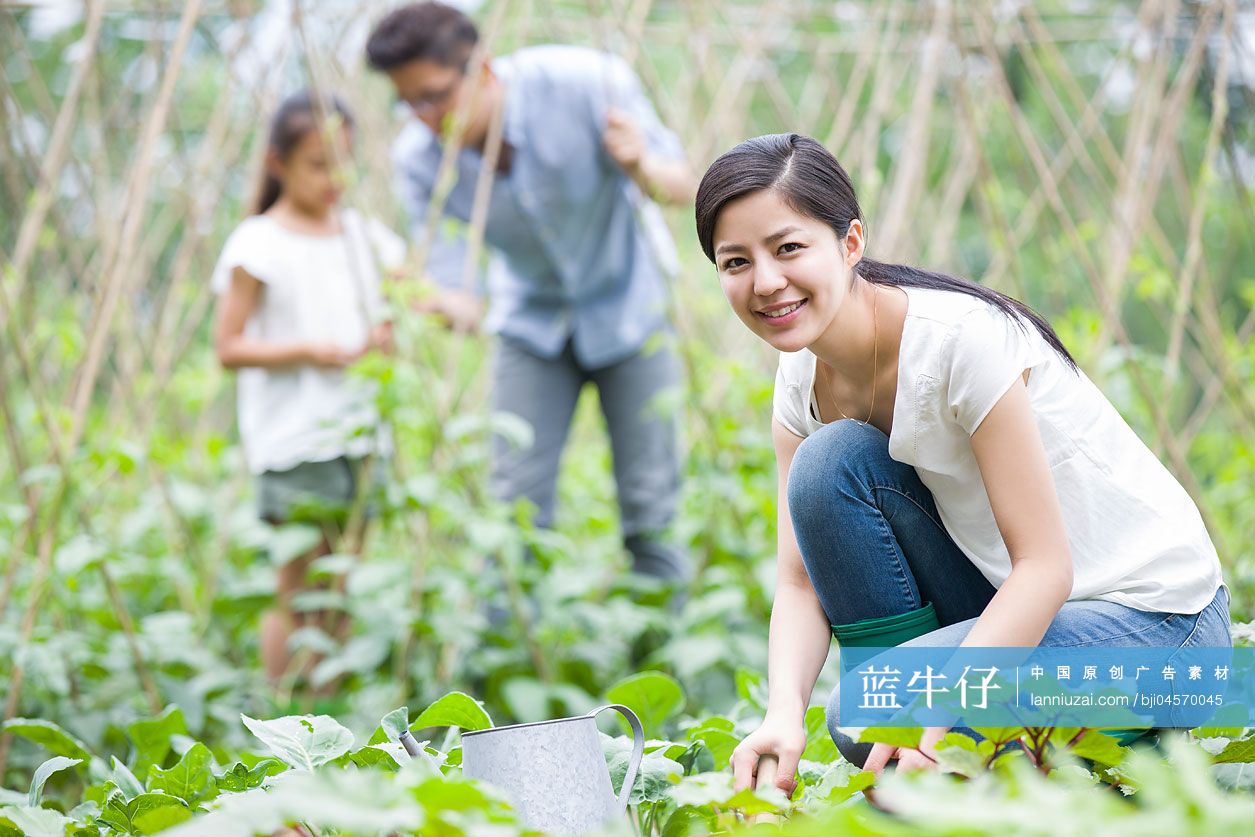 年轻家庭在菜园劳动