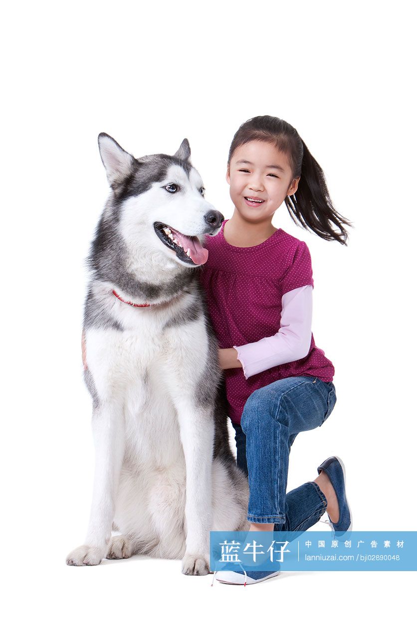 可爱的小女孩和哈士奇狗