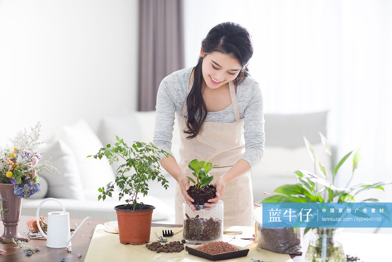 年轻女子在家种植盆栽