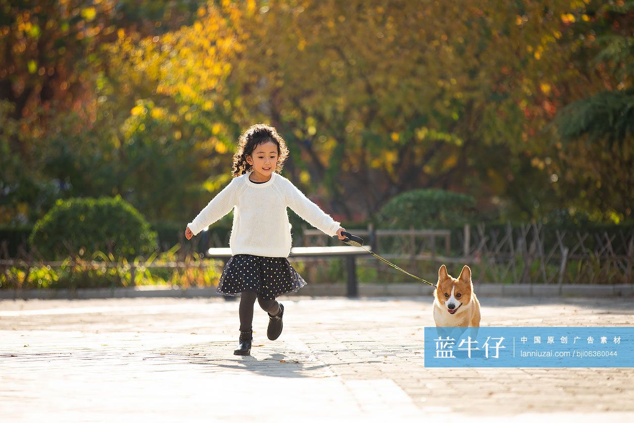 快乐的小女孩和狗在公园玩耍