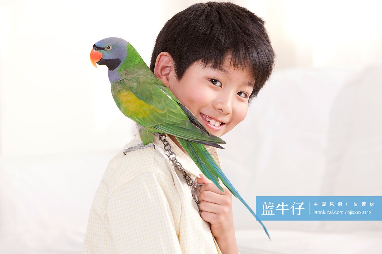 小男孩和鹦鹉一起玩耍