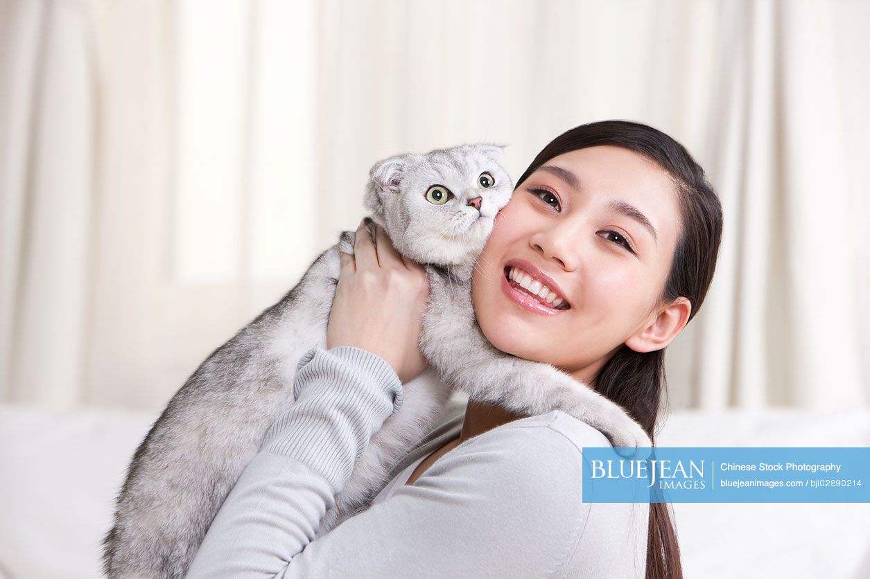 Young Chinese woman playing with a scottish fold cat