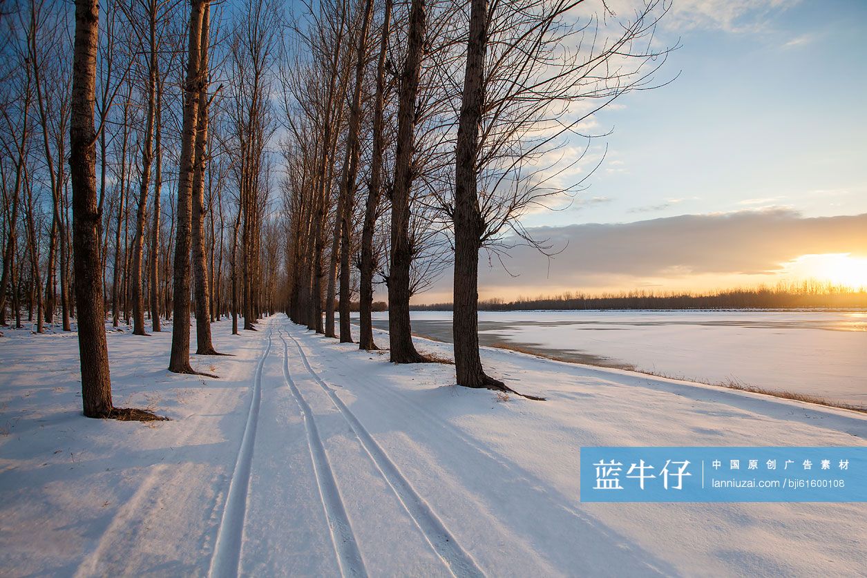 日落时的树林雪景