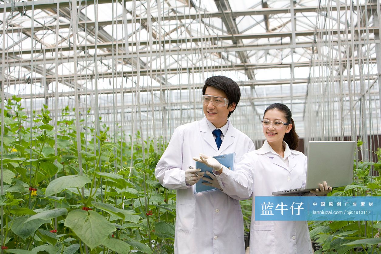 农艺师在现代农庄做科学研究