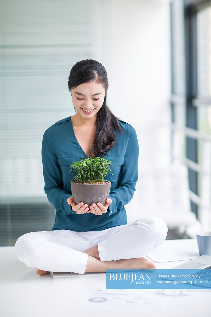 Young Chinese businesswoman sitting on office desk with a potted plant
