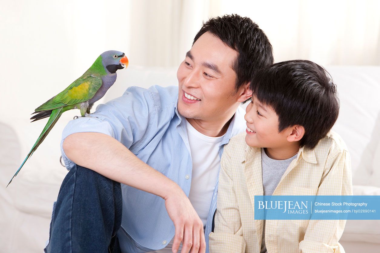 Chinese father and son playing with a pet parrot