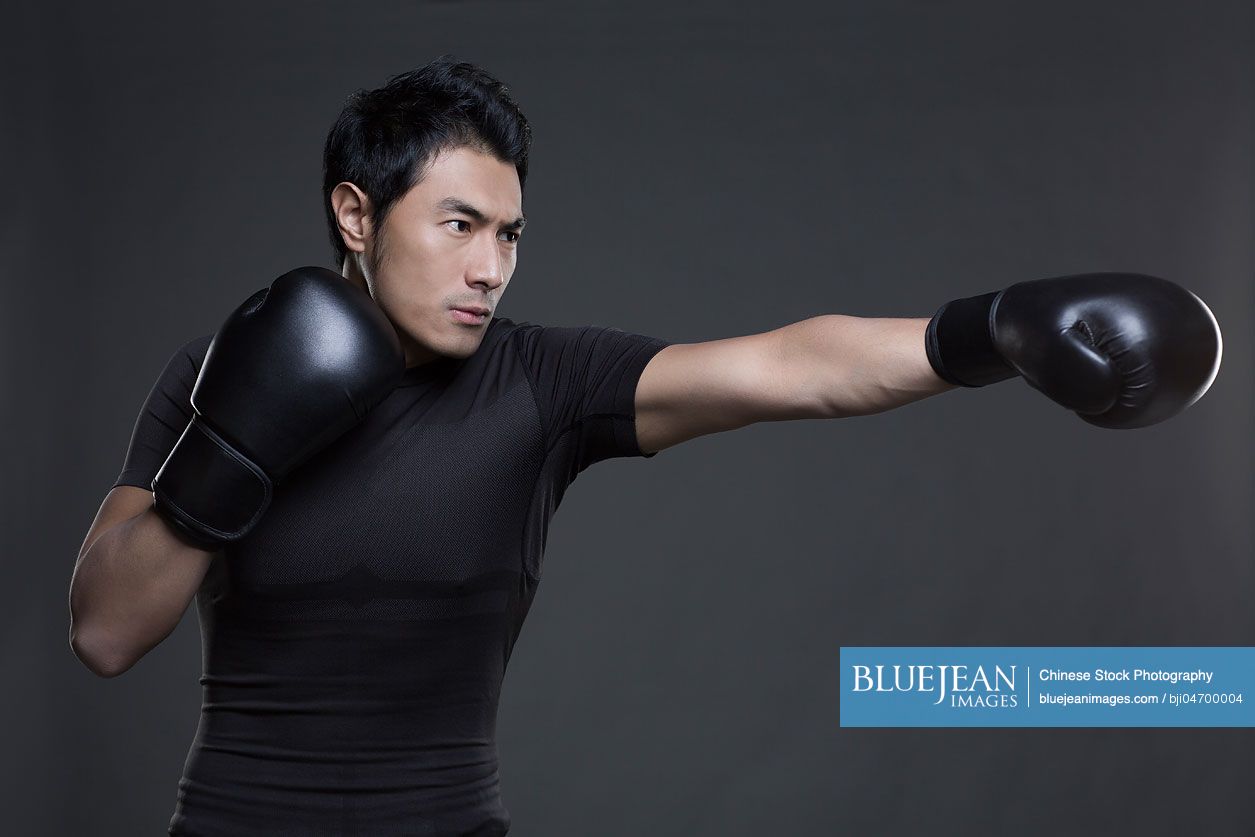 Chinese boxerHighres stock photo for download