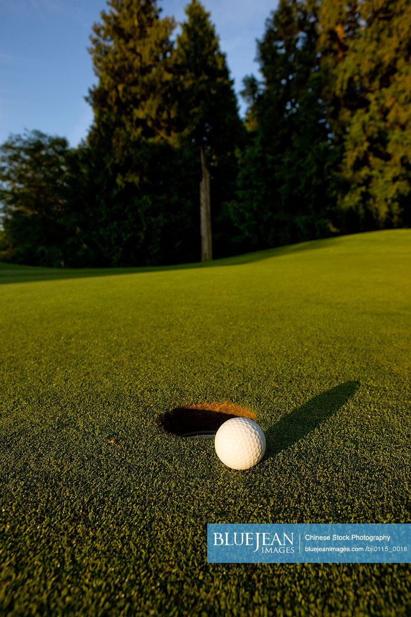 The gimme putt , golf concepts