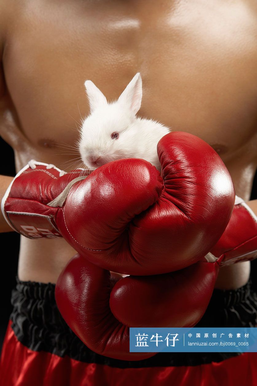 手拿兔子的黄种人拳击手特写