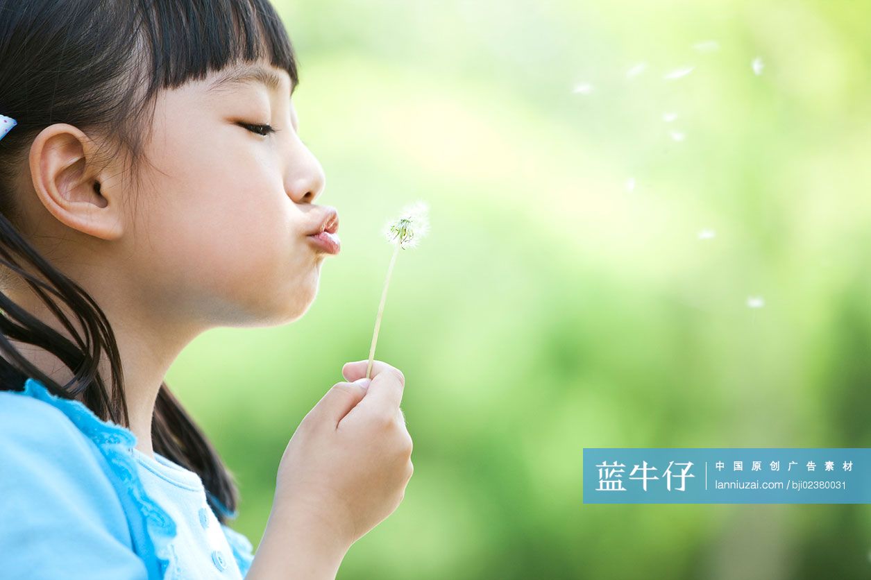 小女孩吹蒲公英