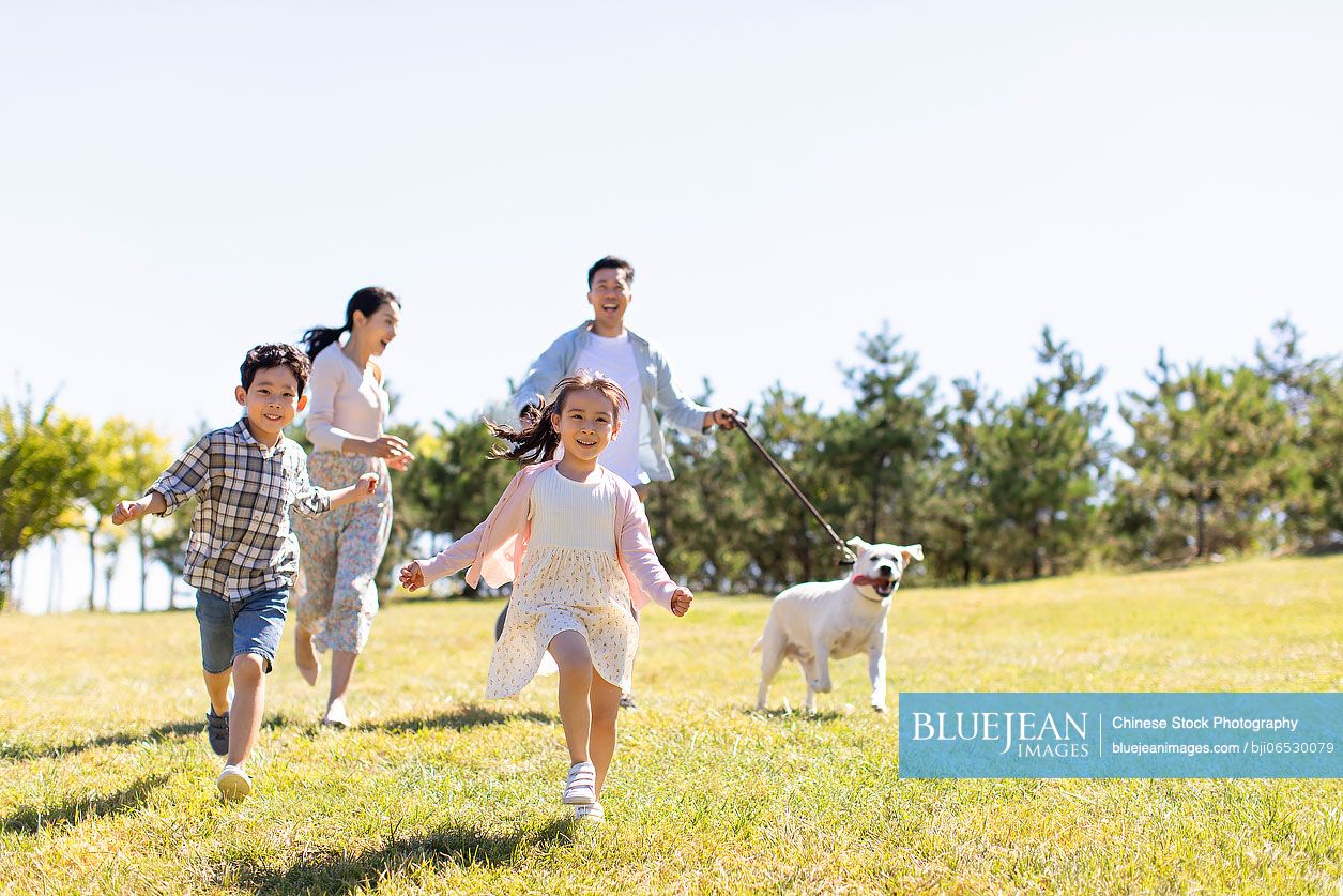 Happy Chinese family walking dog on meadow