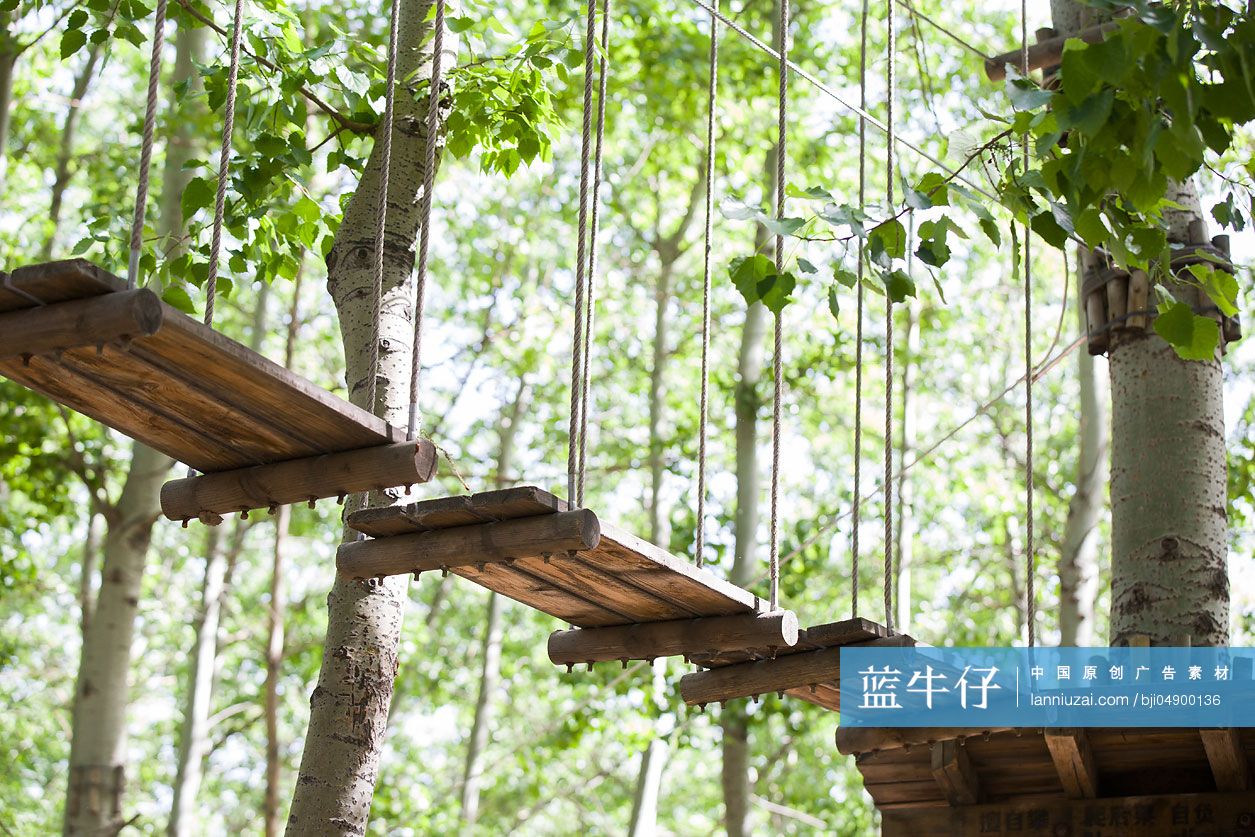 树上穿越活动