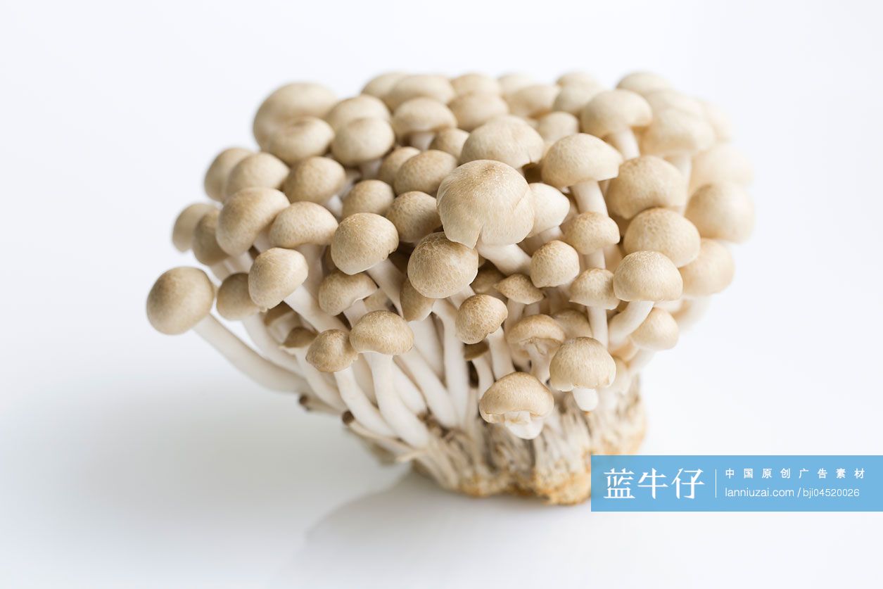 蟹味菇