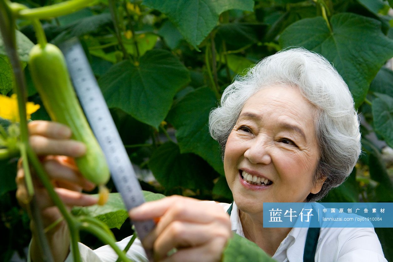 农艺师在现代农庄做研究