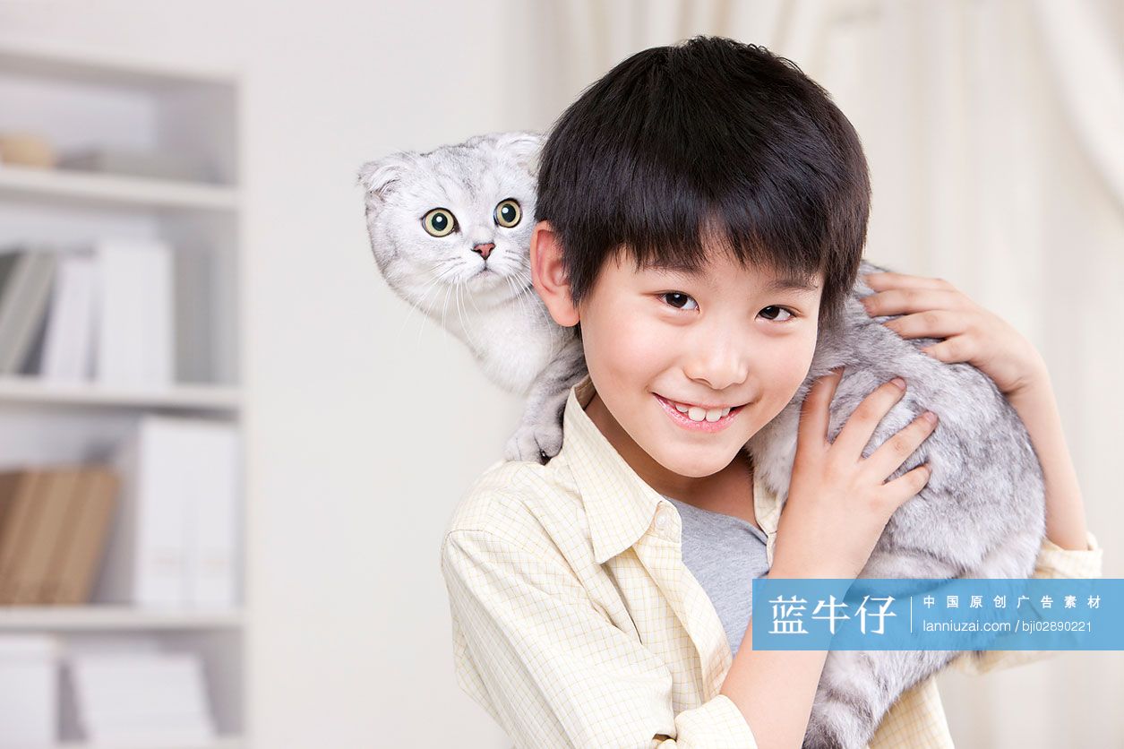 小男孩和苏格兰折耳猫