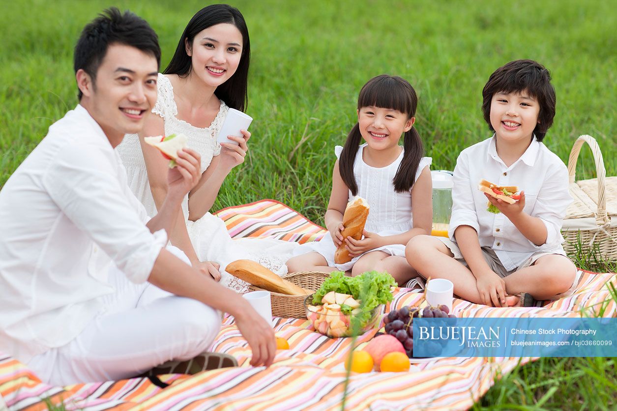 Happy young Chinese family having a picnic on the grass