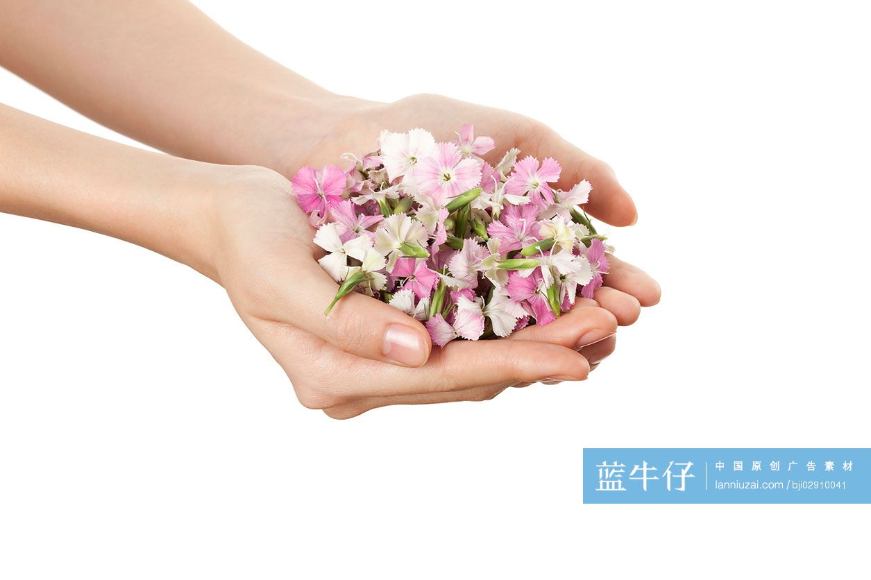 捧着花茶的双手-蓝牛仔影像-中国原创广告影像素材