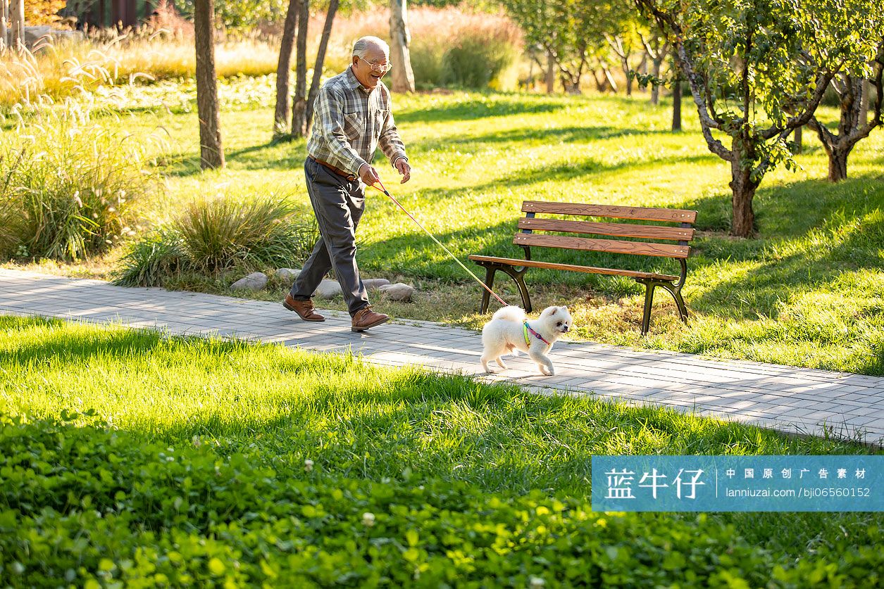 开心的老人在公园遛狗