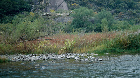 美丽的自然风光