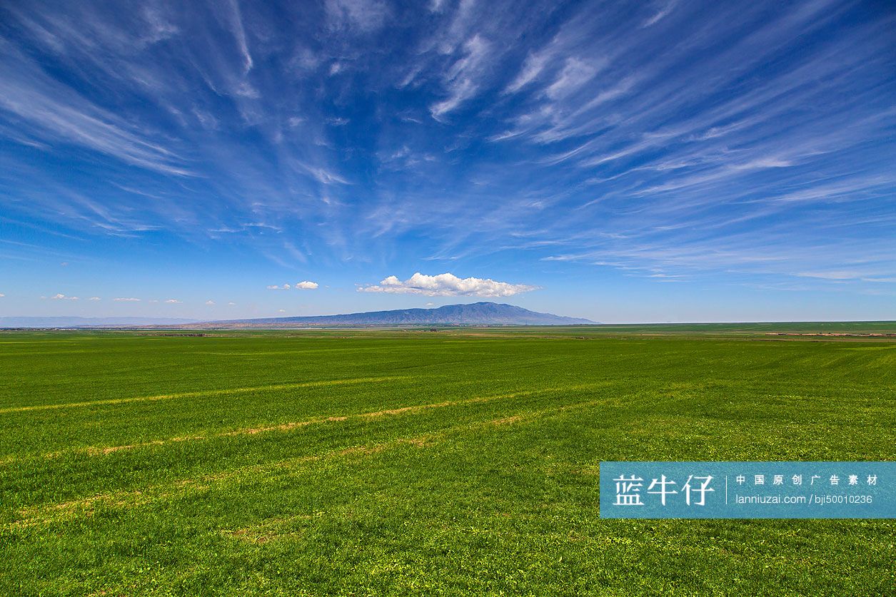 田地和天空