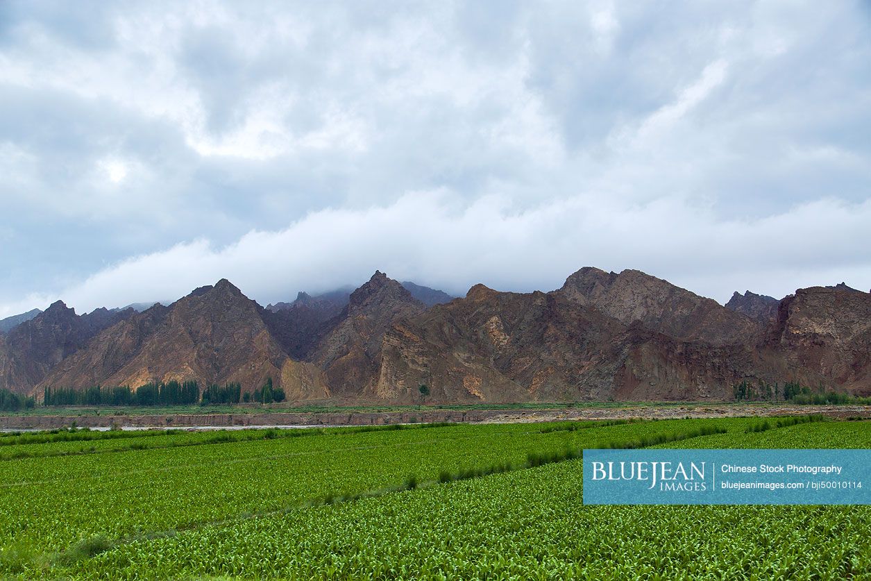 Farmland and mountain range