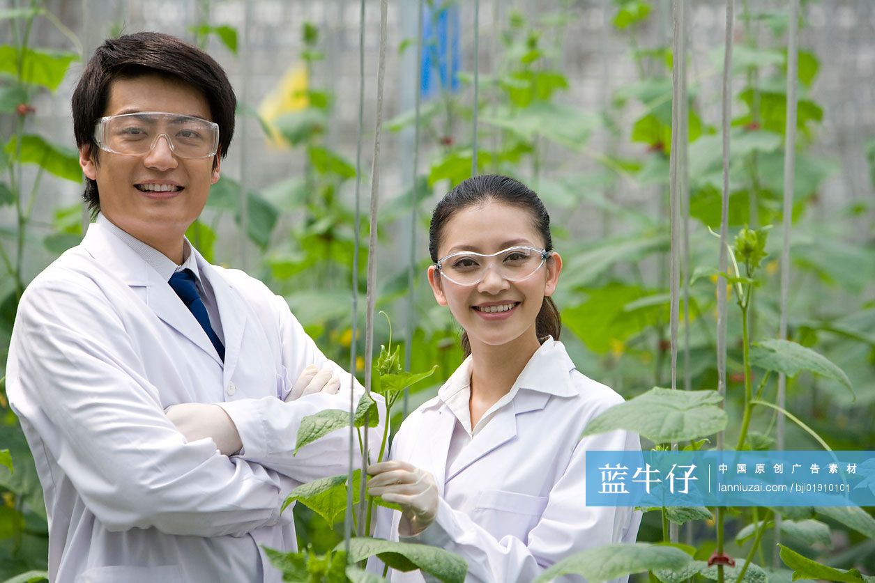 农艺师在现代农庄做科学研究