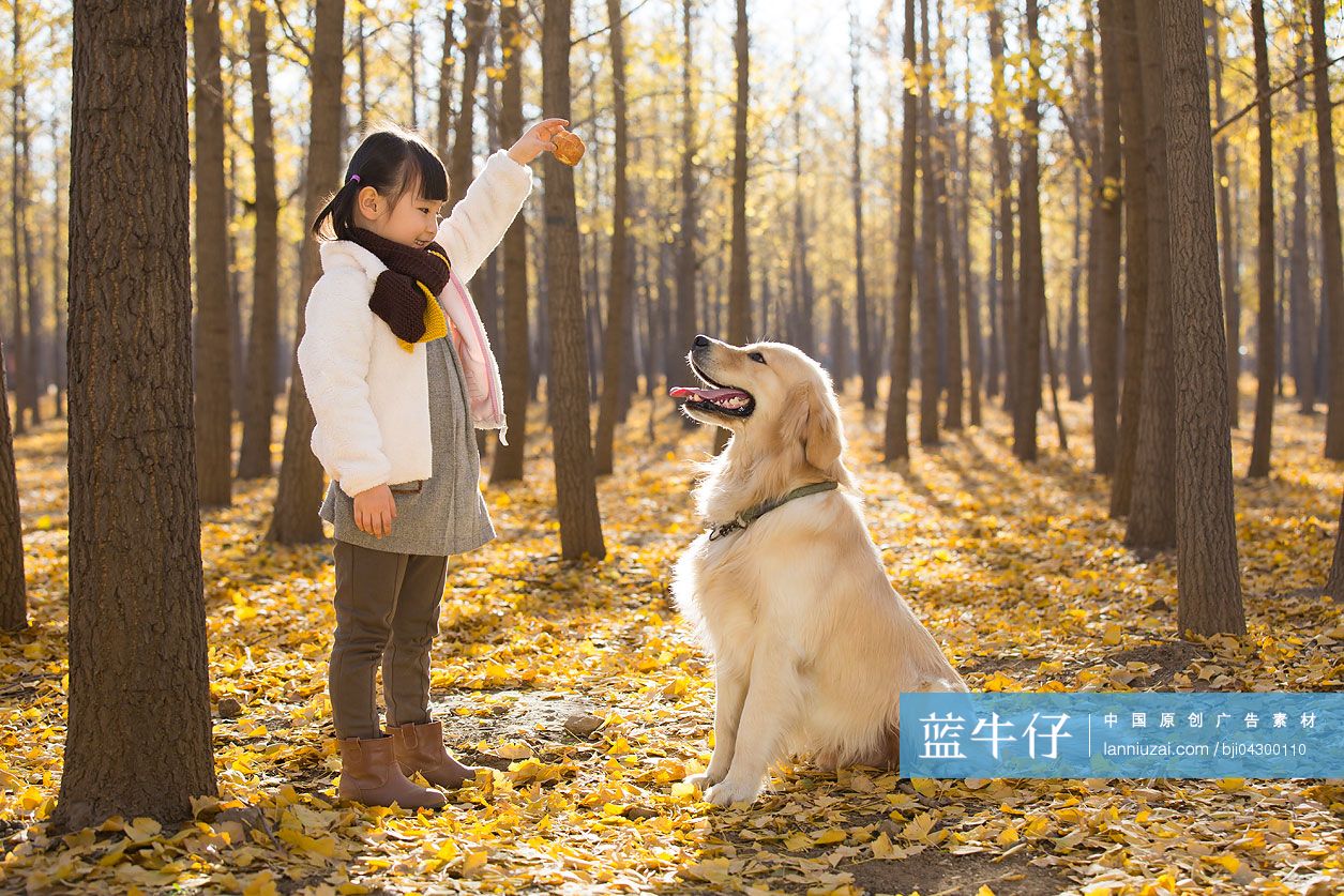 小女孩和宠物狗在秋日树林里玩耍-蓝牛仔影像-中国原创广告影像素材