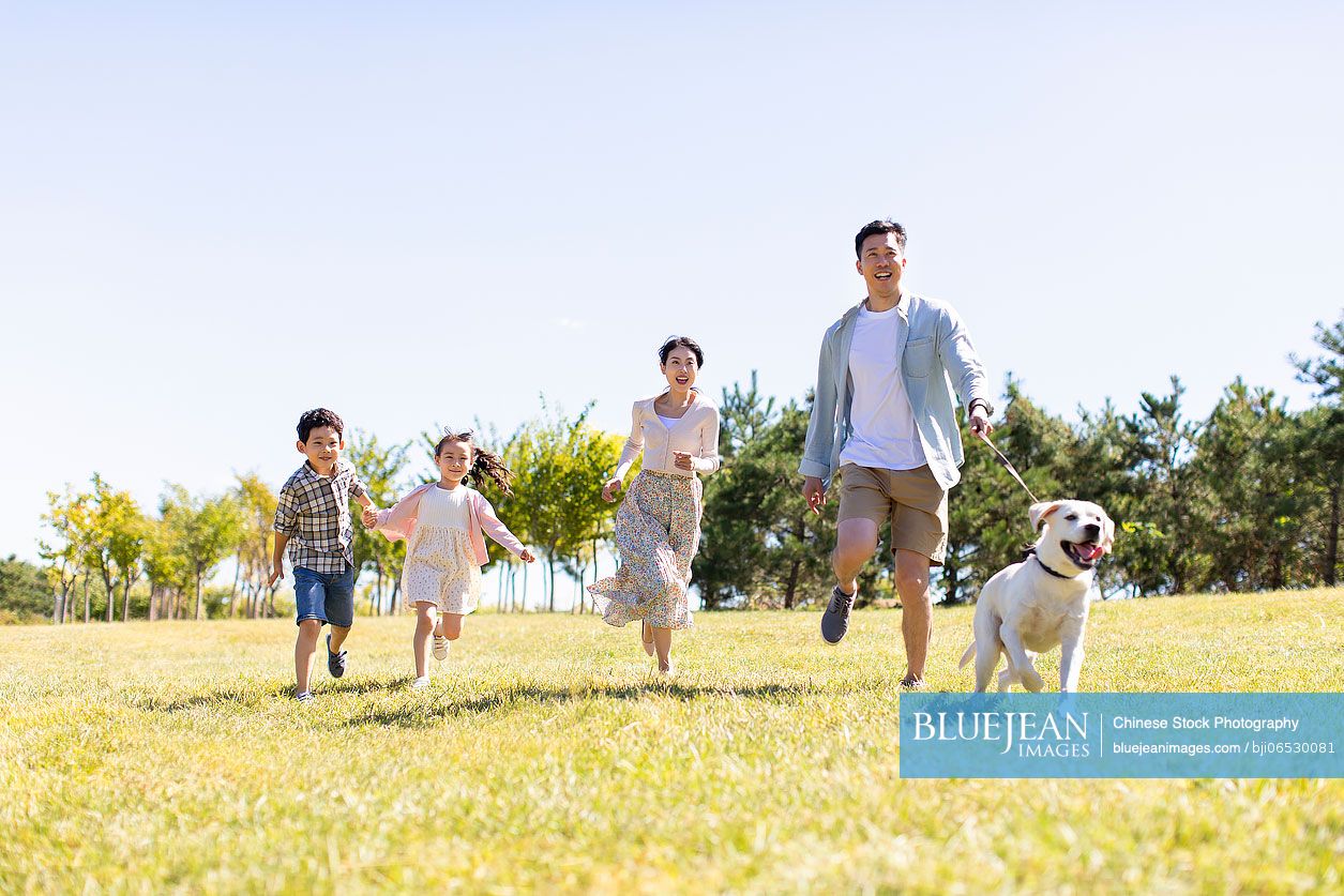 Happy Chinese family walking dog on meadow